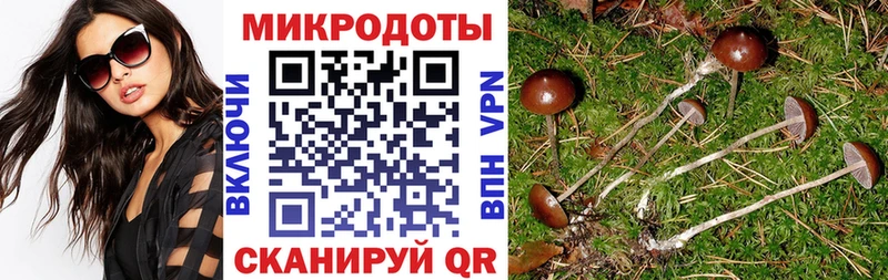 Галлюциногенные грибы GOLDEN TEACHER маркетплейс телеграм Янаул ссылка на мегу вход